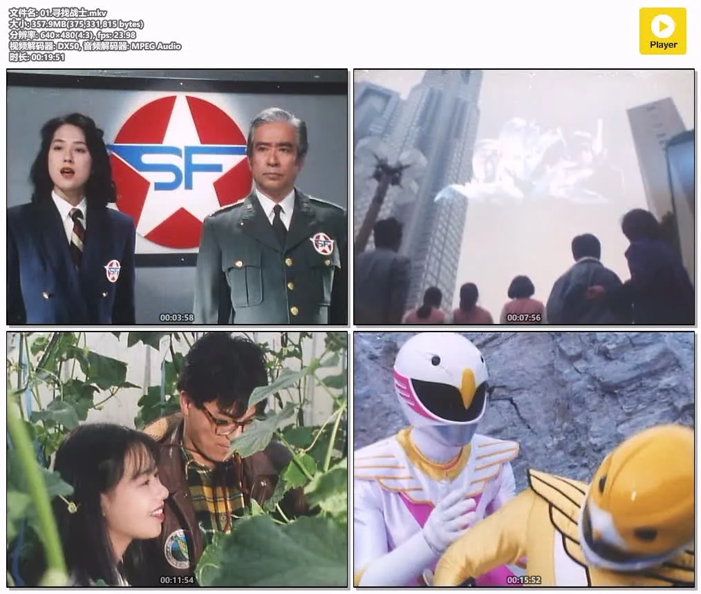 《1991飞鸟战队》粤日双语版全集资源整理 | 480P高清+无字幕 | 特摄战队推荐 4