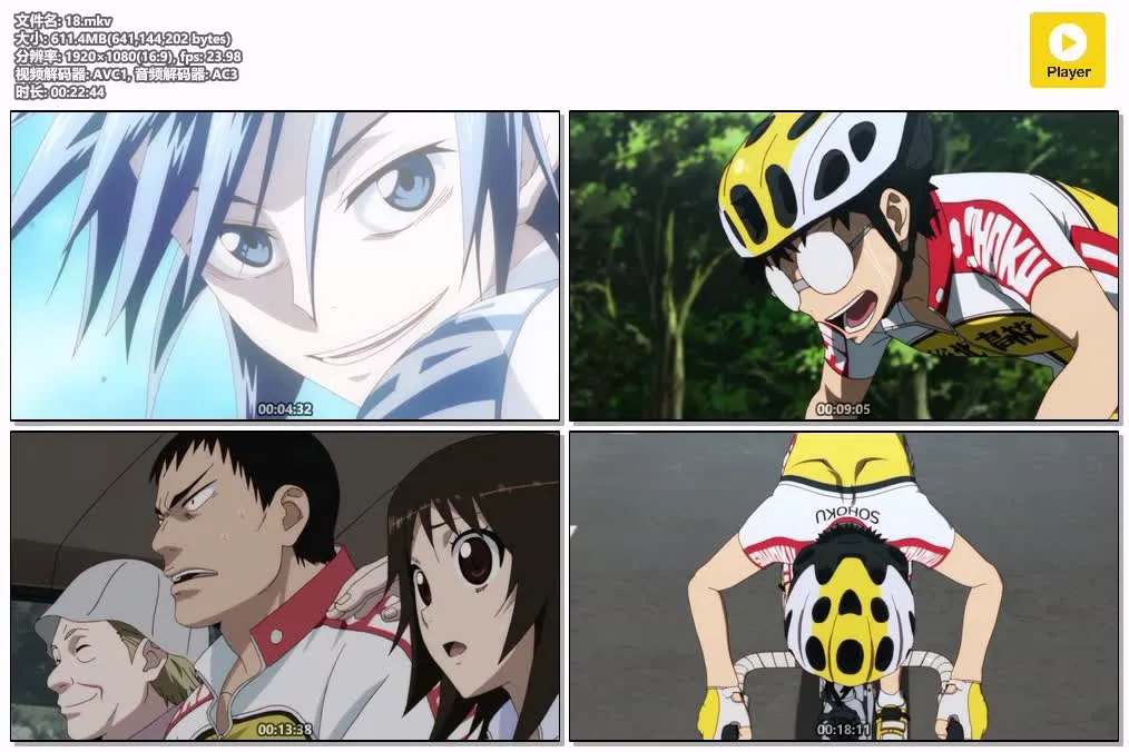 飙速宅男第二季粤日双语1080P | 全24集中文字幕 | 热血运动动画推荐 4