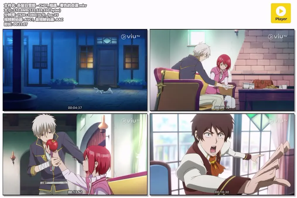 赤发白雪姬粤语版1080P | 全24集中文字幕 | 爱情奇幻治愈动画推荐 4