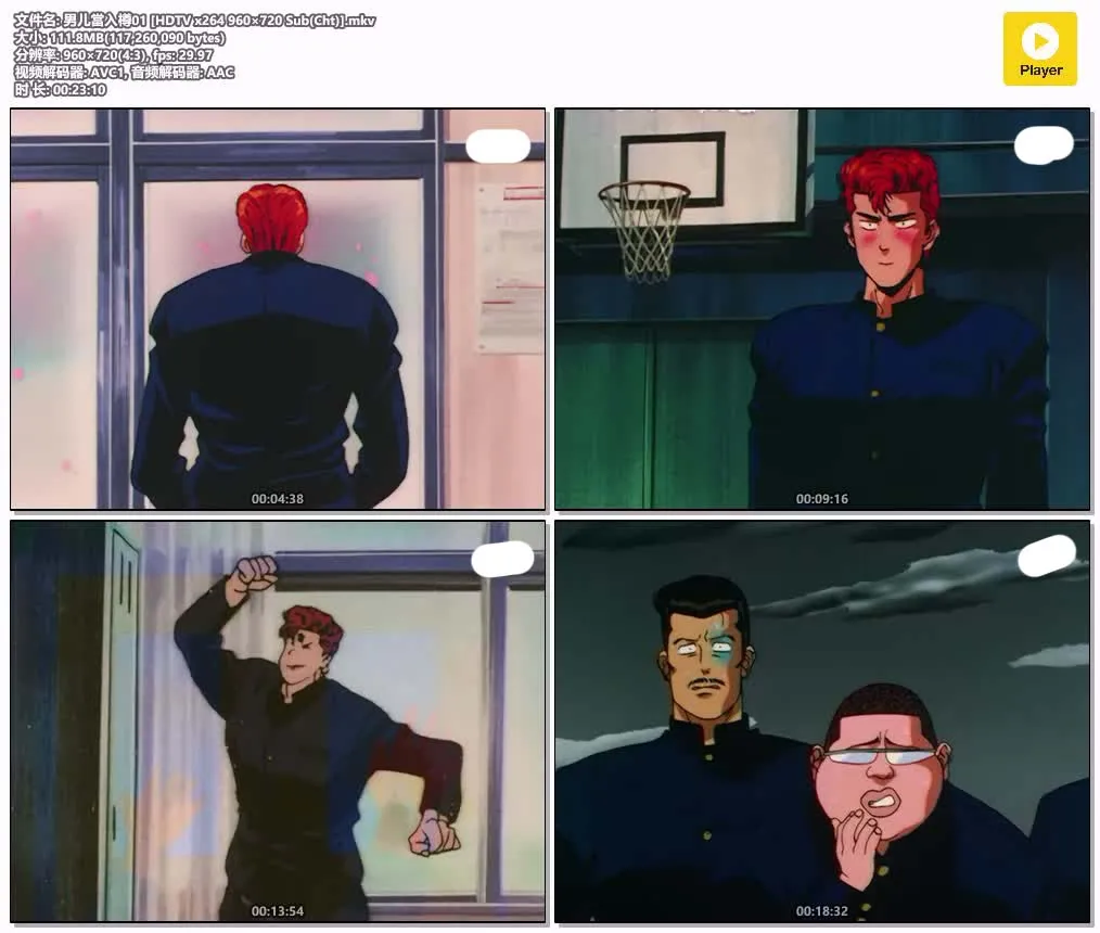 灌篮高手 粤语版高清720P | 全101集中文字幕 | 热血篮球经典动画推荐 4