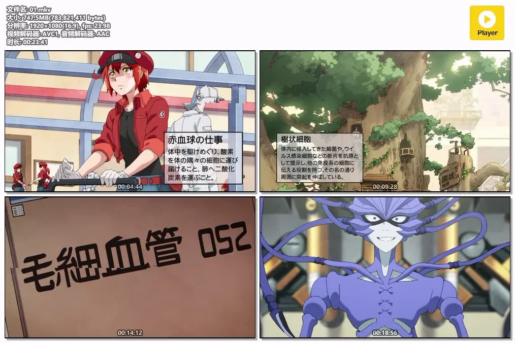 工作细胞 粤语版高清1080P | 全14集中文字幕 | 拟人科普搞笑动画推荐 4