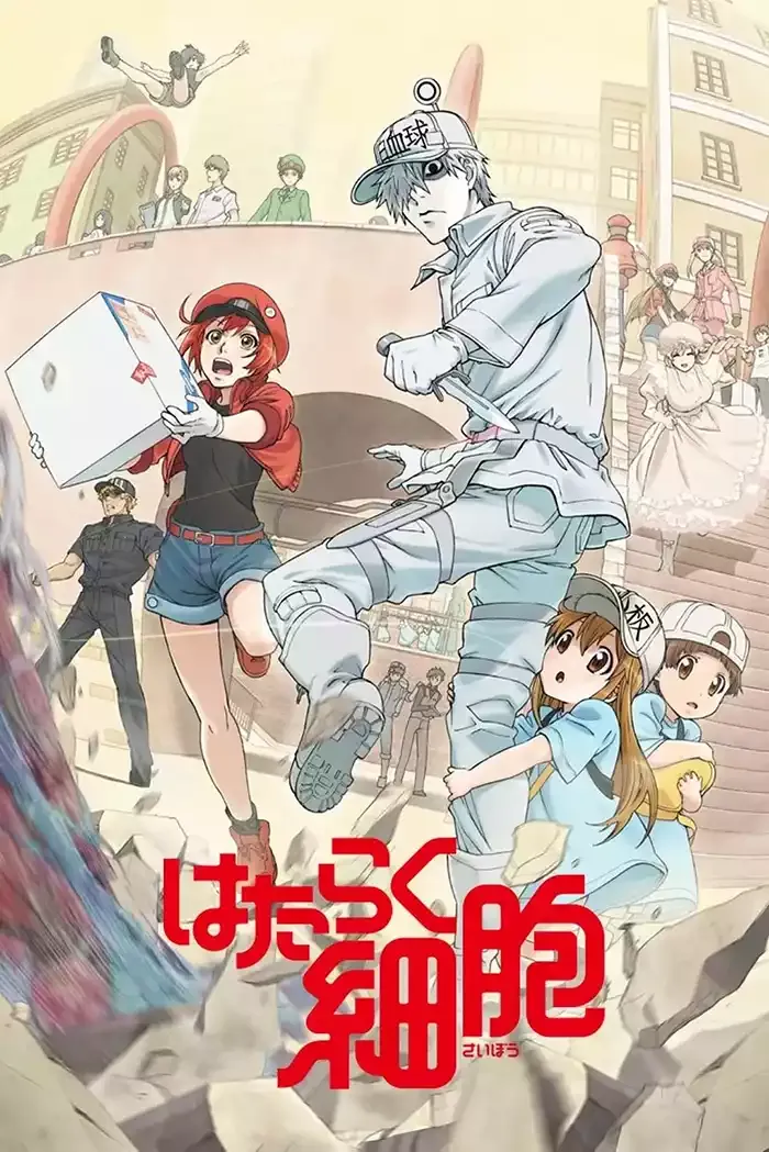 工作细胞 粤语版高清1080P | 全14集中文字幕 | 拟人科普搞笑动画推荐 3