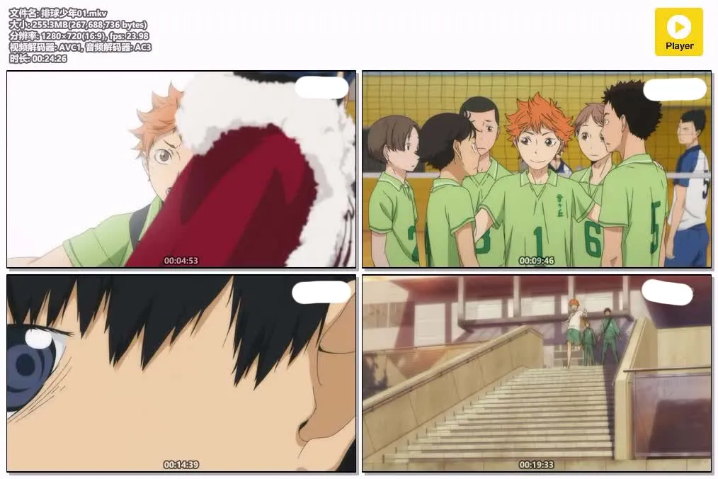 排球少年I 粤日双语版720P | 全25集中文字幕 | 热血体育动画推荐 4