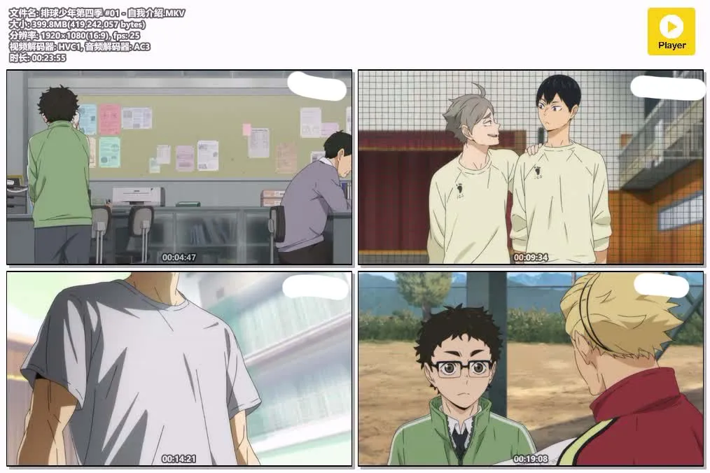 排球少年IV 粤日双语版1080P | 全25集中文字幕 | 热血体育动画推荐 4