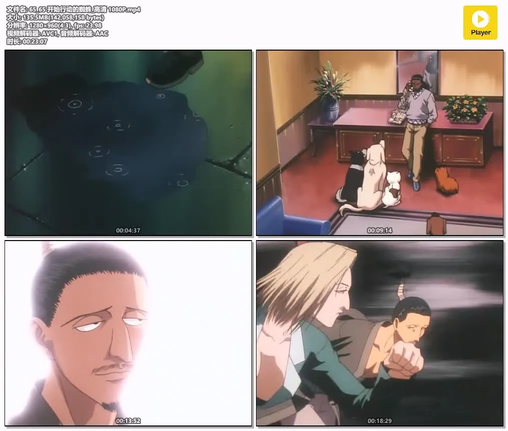 全职猎人粤语版720P | 全78集无字幕 | 热血冒险·经典战斗动画 4