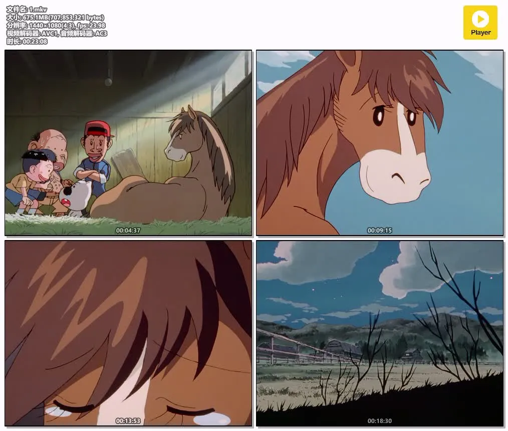 热斗小马粤国日三语版1080P | 全61集无字幕 | 运动竞技·偶像励志动画 4