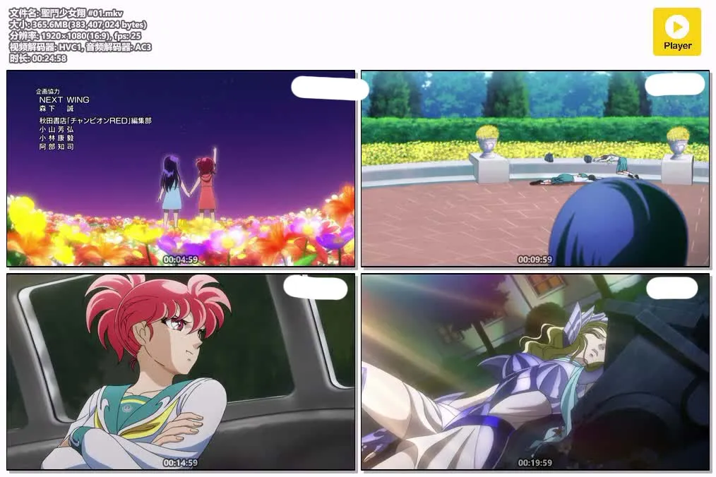 2018 圣斗少女翔粤日双语版全10集 | 1080P高清中文字幕 | 热血战斗动画 4