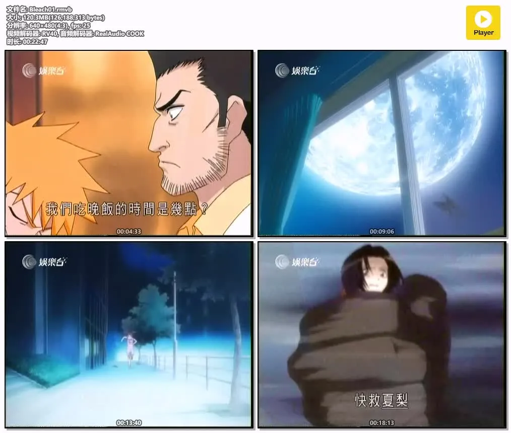 死神 粤语版全265集+剧场版 | 480P高清部分字幕 | 热血战斗动画 4