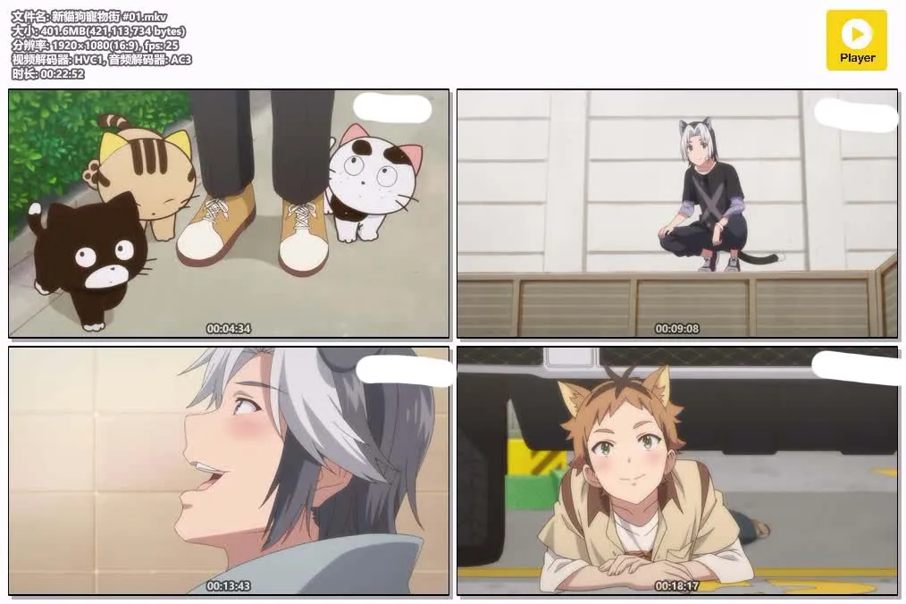 新猫狗宠物街 全11集 粤日双语版 | 1080P高清 | 搞笑治愈宠物动画推荐 4