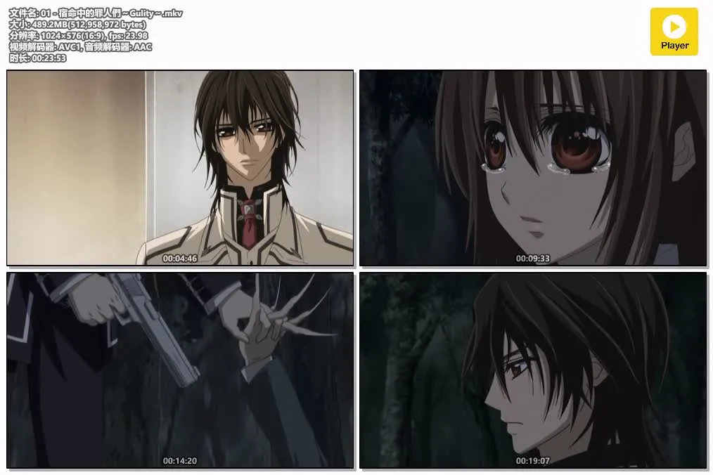 吸血鬼骑士 Guilty 全13集 粤日双语版 | 576P高清 | 奇幻爱情校园动画推荐 4