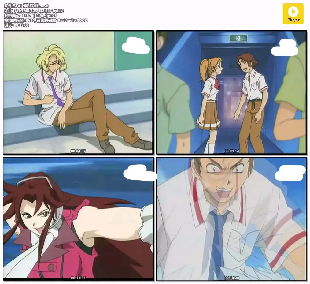 驭龙少年粤语版全38集 | 标清版 | 奇幻冒险动画 | 驭龙战斗经典 4