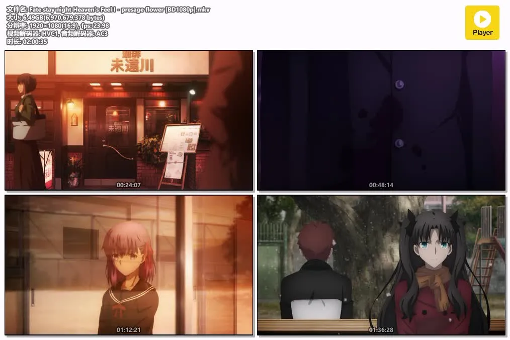 命运之夜——天之杯Ⅰ：恶兆之花 粤日双语版全1集 | 1080P高清 | 附中文字幕 | Fate剧场版动画 4