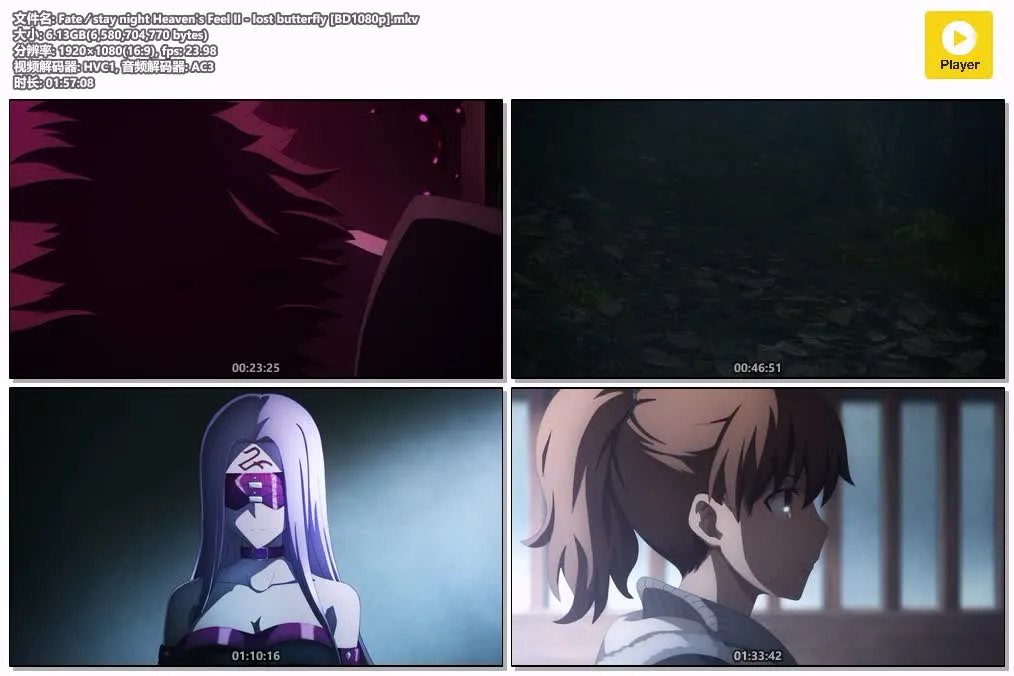 命运之夜——天之杯Ⅱ：迷失之蝶 粤日双语版全1集 | 1080P高清 | 附中文字幕 | Fate剧场版动画 4