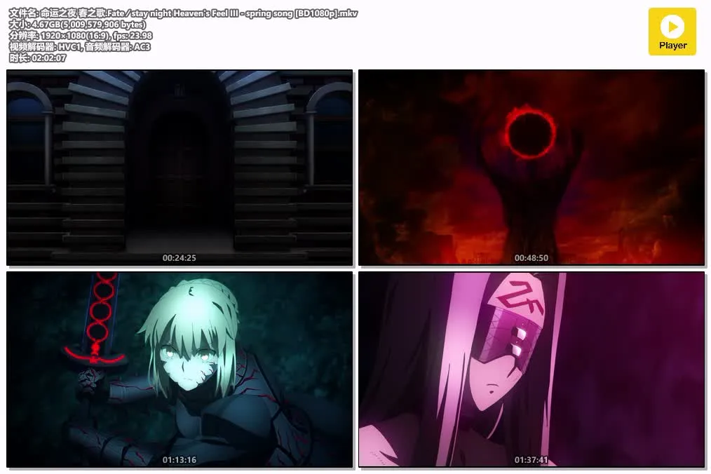 命运之夜——天之杯Ⅲ：春之歌 粤日双语版全1集 | 1080P高清 | 附中文字幕 | Fate剧场版动画 4