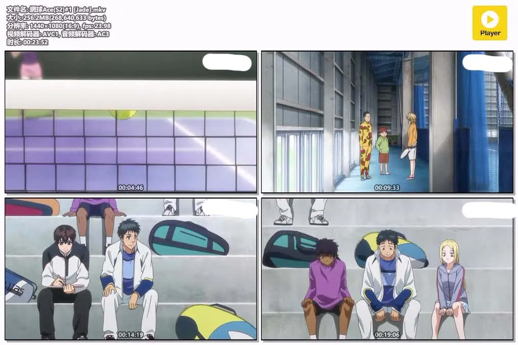 网球Ace S2 粤日双语版全25集 | 1080P高清+中文字幕 | 热血网球竞技动画推荐 4