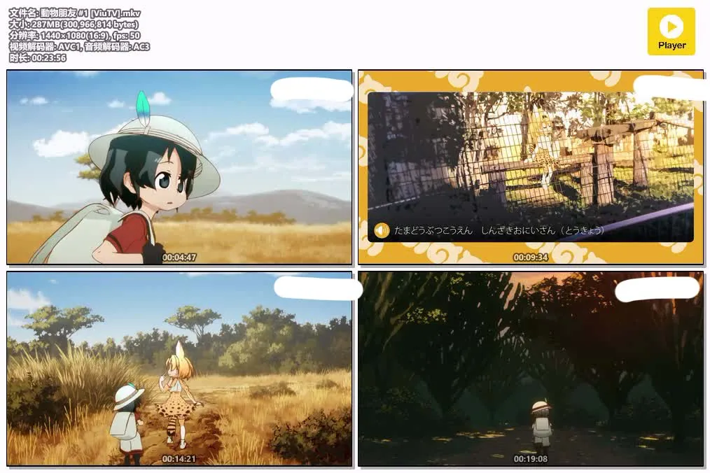 动物朋友 粤日双语版全12集 | 1080P高清+中文字幕 | 奇幻冒险治愈动画推荐 4