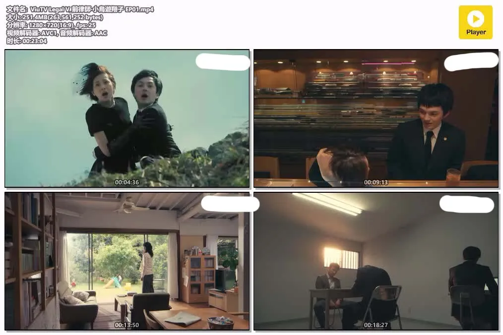 Legal V 前律师·小鸟游翔子 粤语配音 720P | 律政悬疑 | 中文字幕 | 热门日剧推荐 4