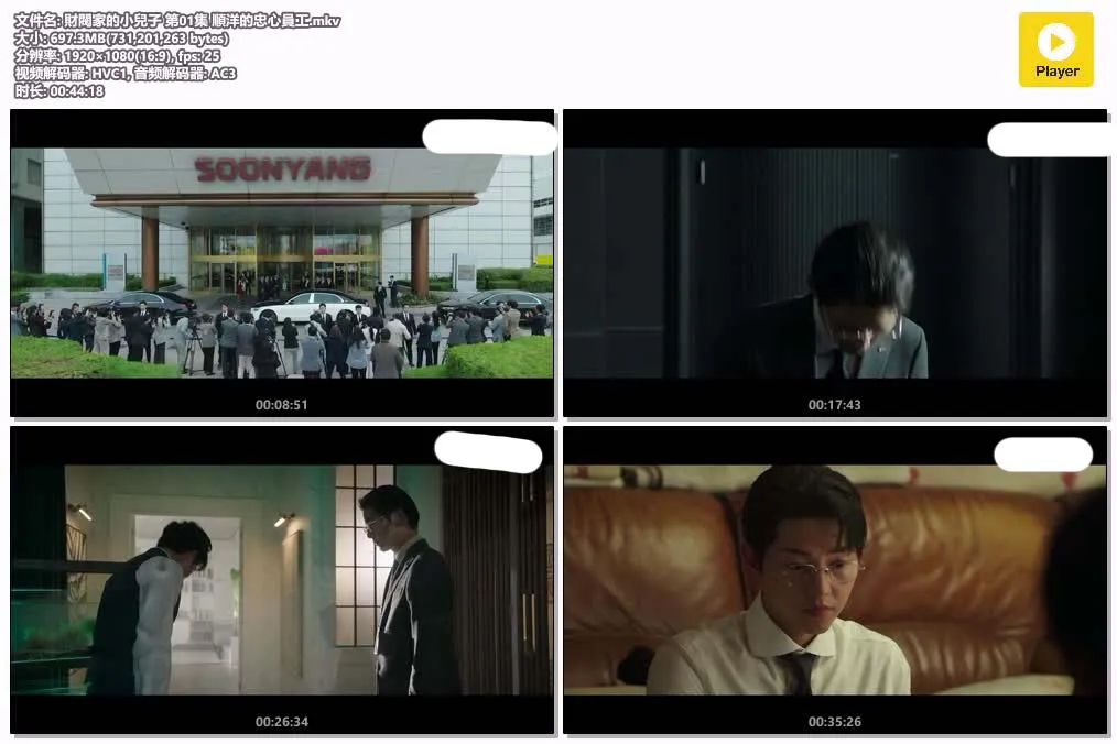 财阀家的小儿子 粤韩双语 1080P | 韩剧奇幻复仇 | 宋仲基主演 4