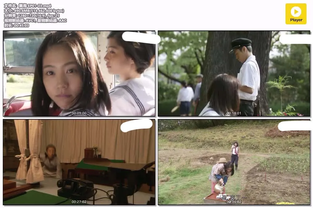雏鸟 粤语版 720P | 日剧家庭励志 | Hiyokko 中文字幕 4