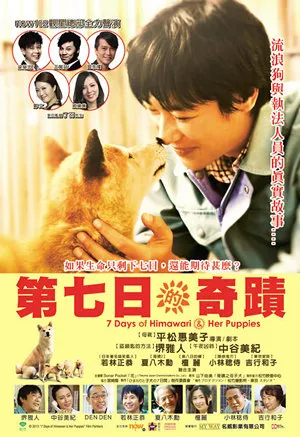 第7日的奇迹 粤语版高清720P | 温情电影中文字幕 | 日本动物治愈系影片推荐