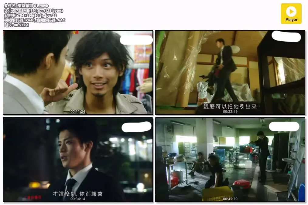 东京癫狗 粤语版标清 | 全10集中文字幕 | 日本刑侦动作喜剧日剧推荐 4