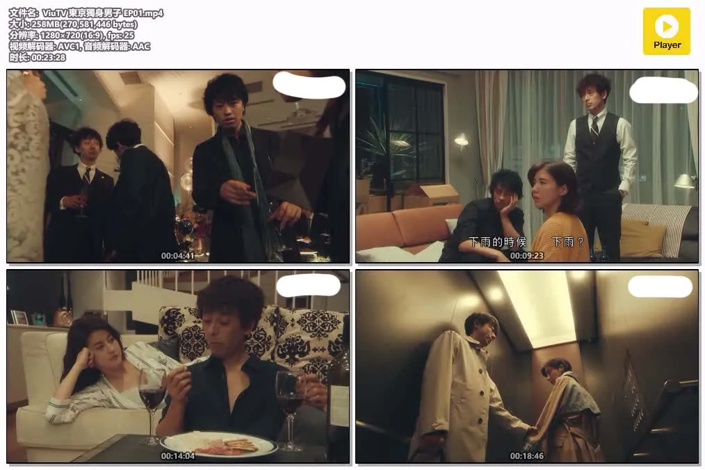 东京独身男子 粤语版高清720P | 全14集中文字幕 | 日本爱情喜剧日剧推荐 4