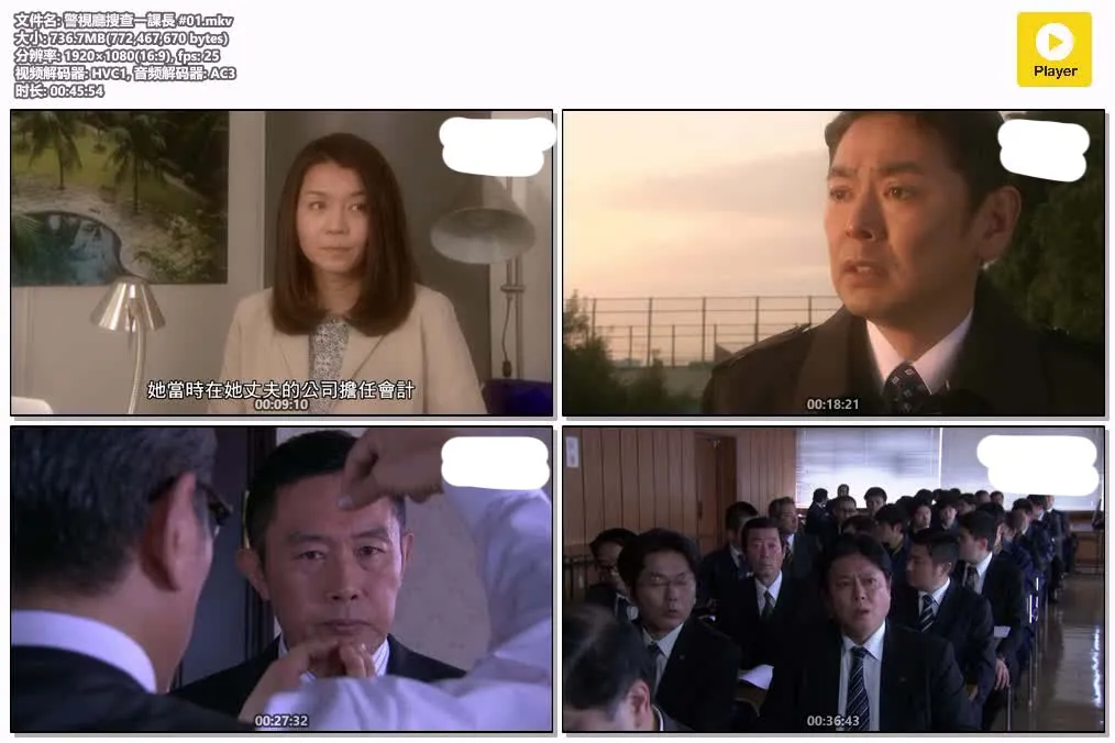 警视厅搜查一课长 | 1080P 高清 | 粤日双语 中文字幕 | 悬疑推理刑侦剧推荐 4