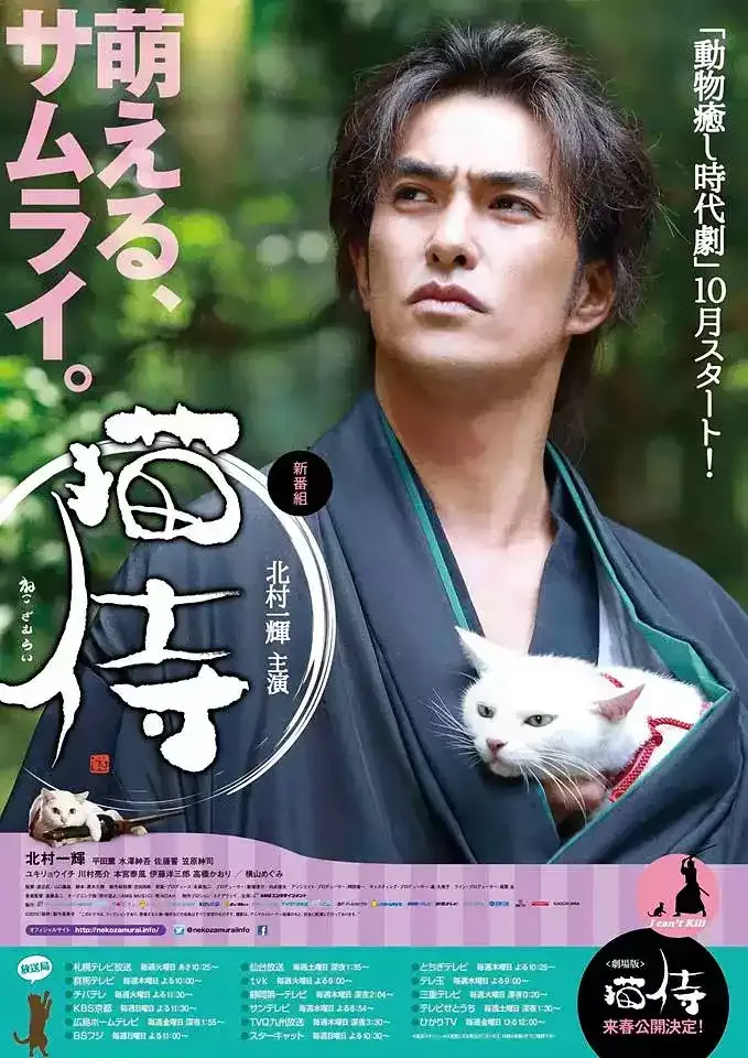猫侍 粤语版高清720P | 全12集中文字幕 | 治愈系时代剧推荐