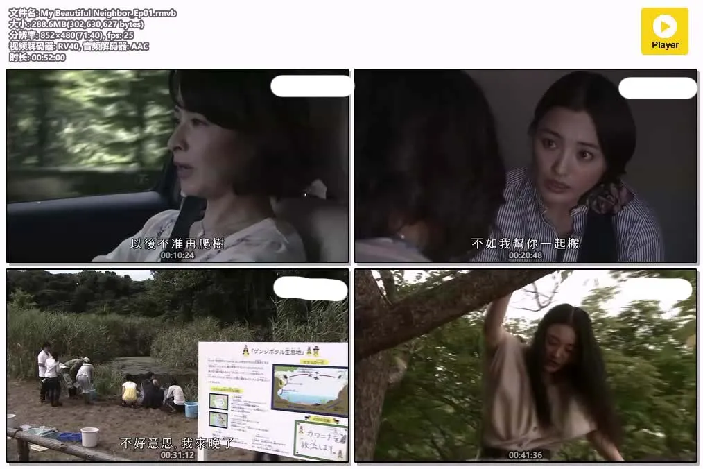 美丽慌邻 粤语版标清480P | 悬疑家庭日剧推荐 | 港译经典剧集 4