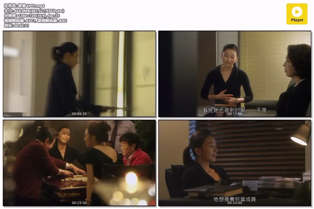 密会 粤语版高清720P | 全24集中文字幕 | 金喜爱刘亚仁主演爱情韩剧 4