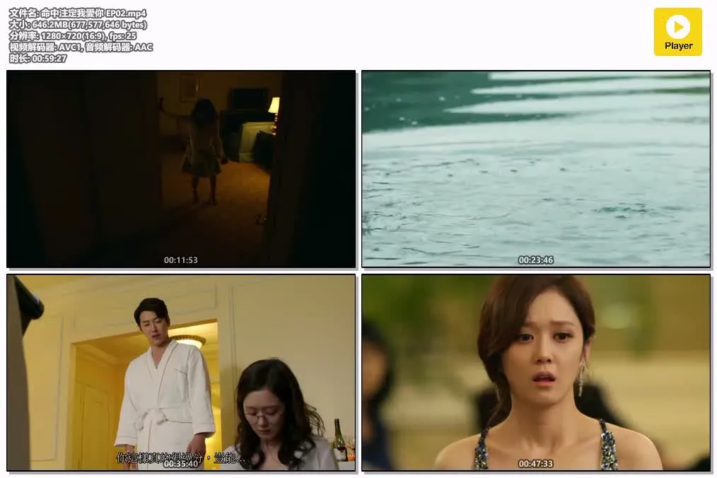 命中注定我爱你 韩剧版粤语高清720P | 全20集中文字幕 | 张娜拉张赫主演爱情喜剧 4