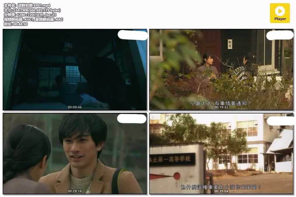 逆龄初恋 粤语版高清720P | 全8集中文字幕 | 满岛光佐藤健主演浪漫爱情日剧 4