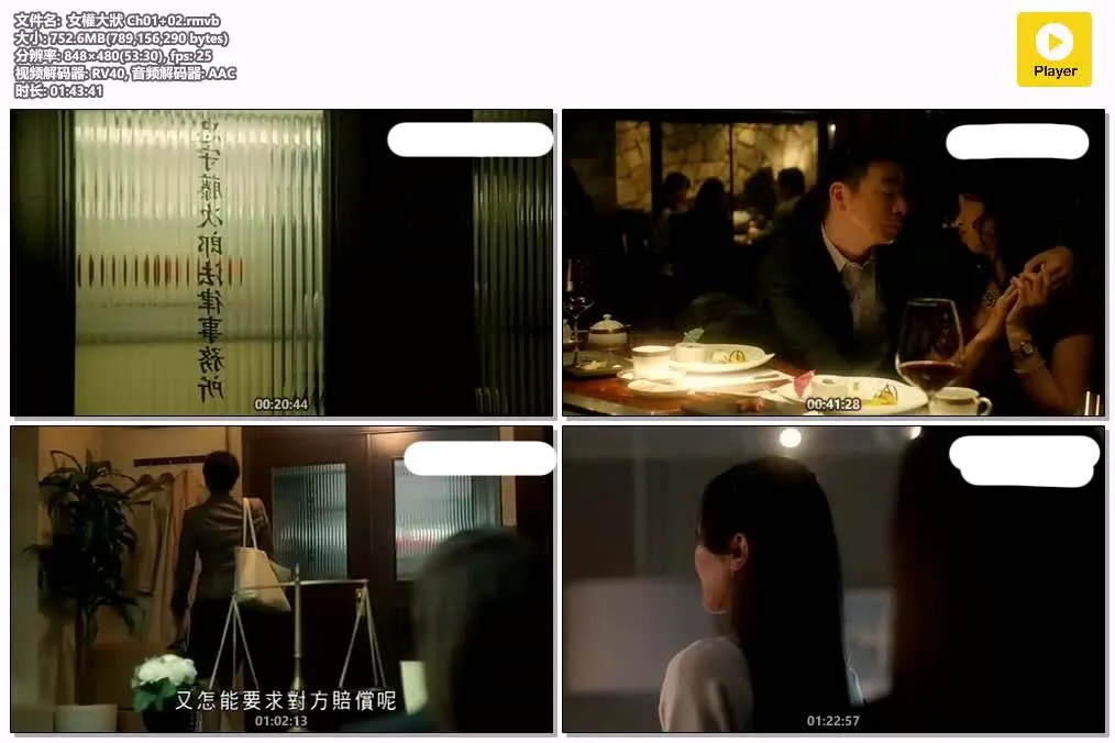 女权大状 | 粤语配音 | 480P 高清 | 律政喜剧 | 日剧推荐 4