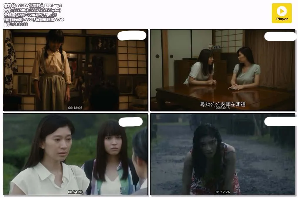 乞爱的人 | 粤语配音 | 720P 高清 | 家庭伦理特别篇 | 日剧推荐 4