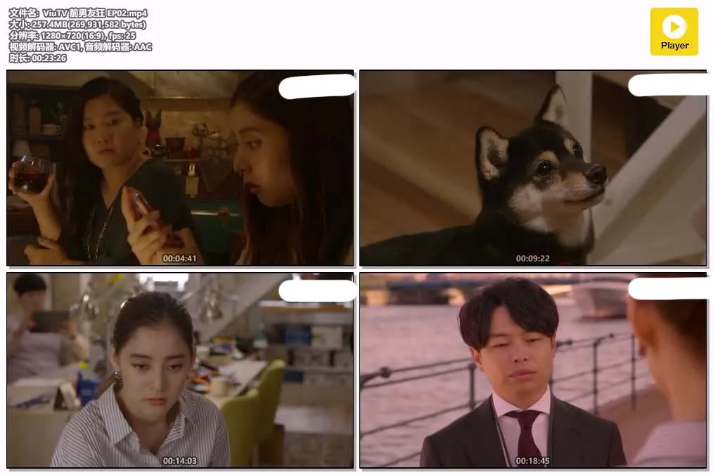 前男友狂 | 粤语配音 | 720P 高清 | 爱情喜剧 | 日剧推荐 4