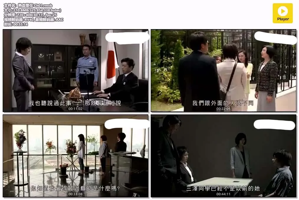 热血警花 粤语版 标清 | 全9集中文字幕 | 警匪推理日剧推荐 4