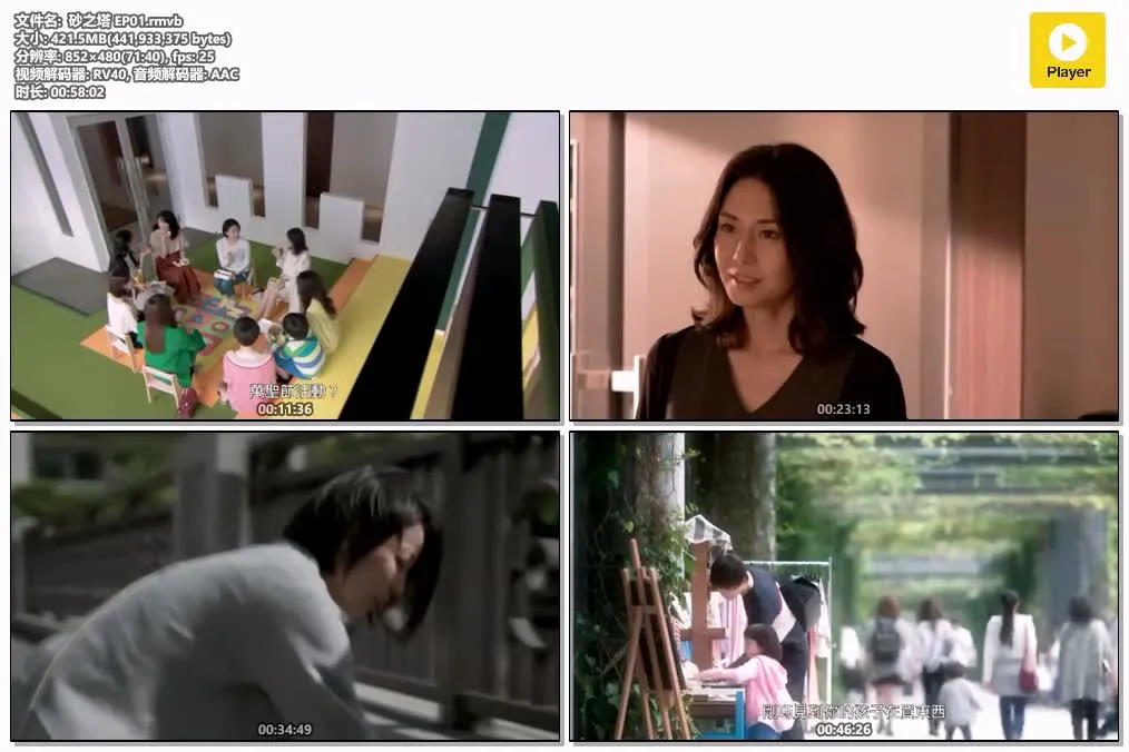 砂之塔 粤语版 480P | 悬疑犯罪日剧推荐 | 菅野美穗松岛菜菜子主演 4