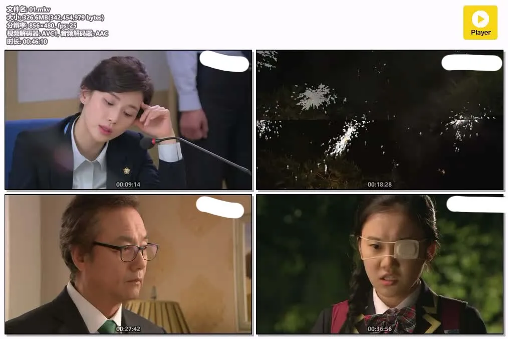 听见你声音 粤语版480P | 李钟硕李宝英主演韩剧 | 奇幻爱情律政剧推荐 4