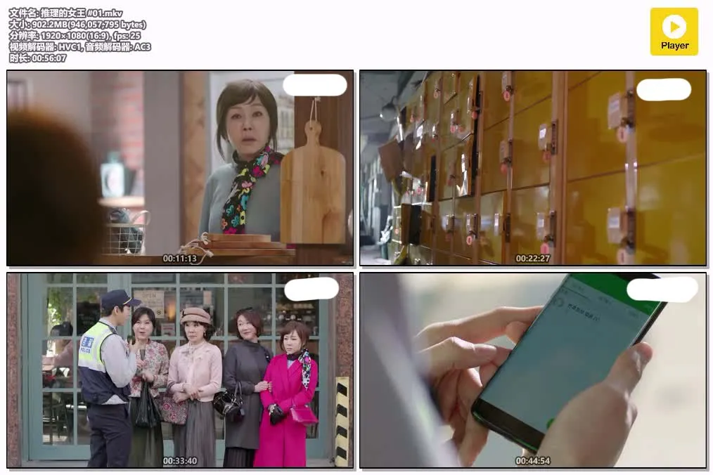 【推理的女王 第一季】(2017) 權相佑主演 全集高清粤语资源 4