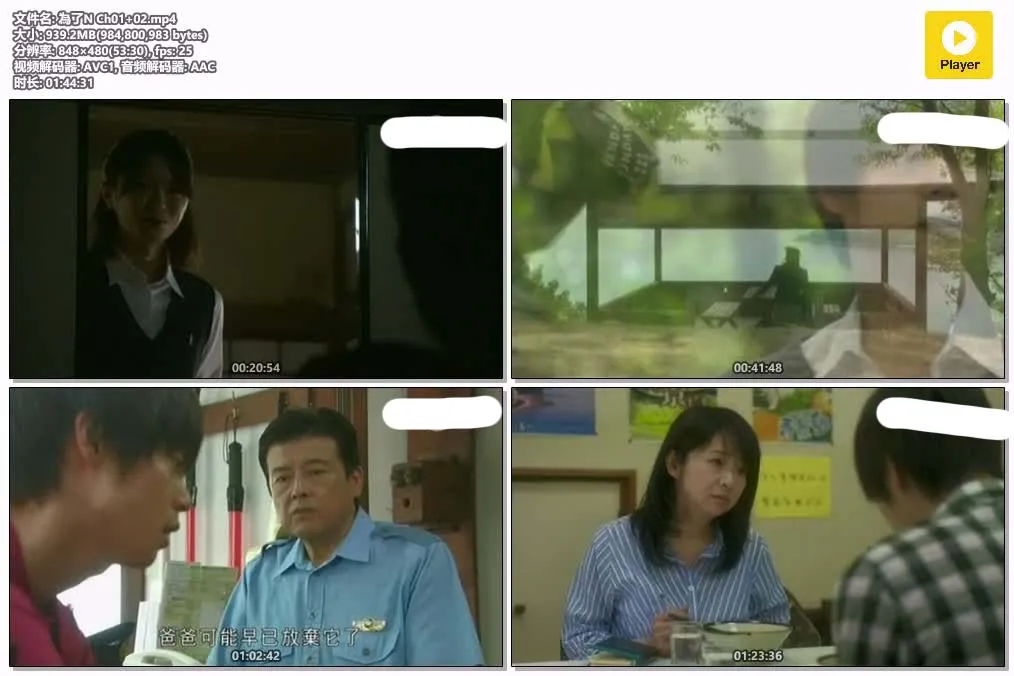 【為了N】(2014) 經典懸疑日劇 全集粤语资源 4