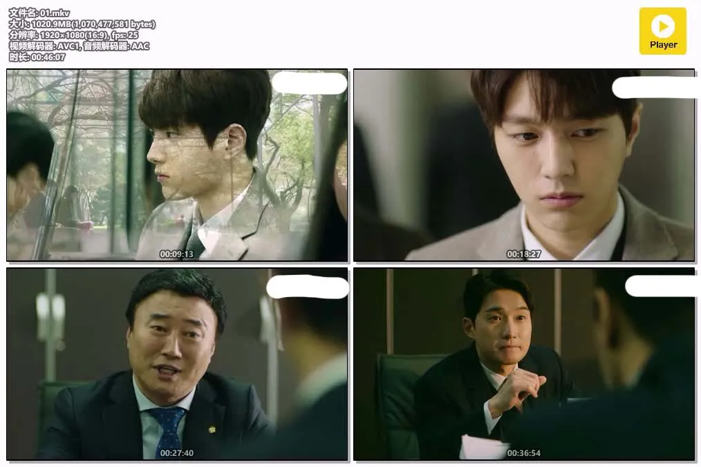 【新紮法官】(2018) 金明洙×高雅羅 法律韓劇 全集高清粤语资源 4