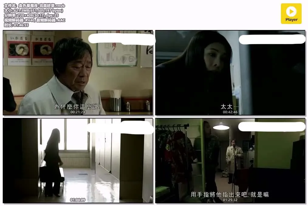 【血色草莓夜】(2012) 竹内結子主演 懸疑日劇 全集粤语资源 4