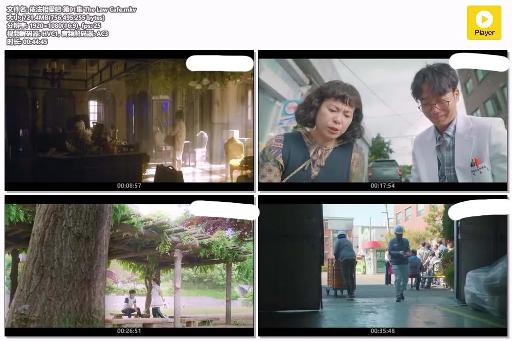 【依法相愛吧】(2022) 李昇基×李世榮 全集高清粤语资源 4