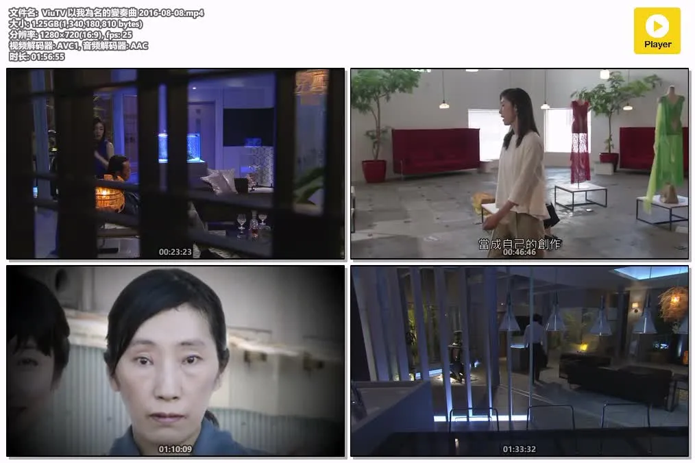 【以我為名的變奏曲】(2015) 天海祐希主演 SP懸疑日劇 高清粤语资源 4