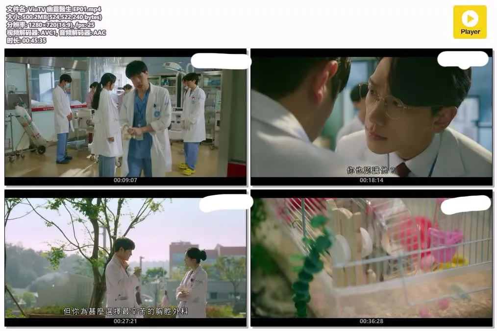 【幽靈醫生】(2022) Rain×金汎 奇幻醫療韓劇 全集高清粤语资源 4