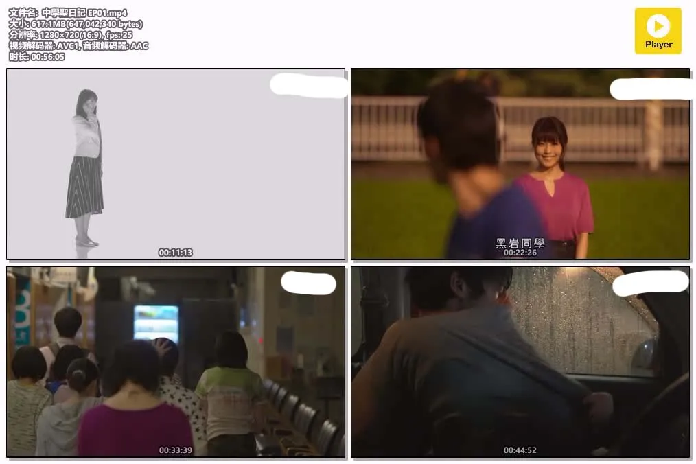 【中學聖日記】(2018) 有村架純主演 師生戀日劇 全集高清粤语资源 4