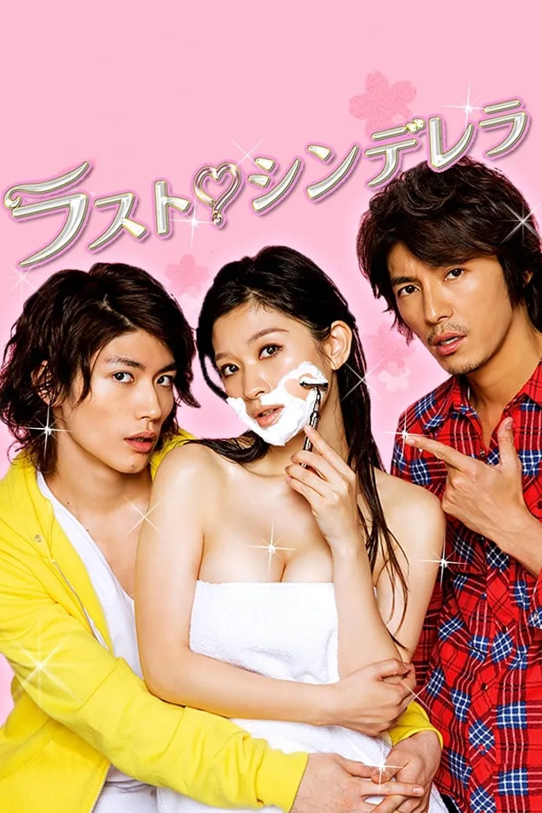 【最後的灰姑娘】(2013) 篠原涼子主演 經典日劇 全集粤语资源