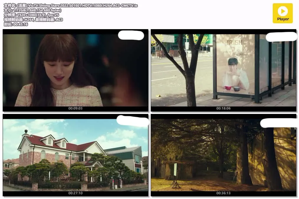 【流星】(2022) 李聖經×金永大 全集高清粤语资源 4