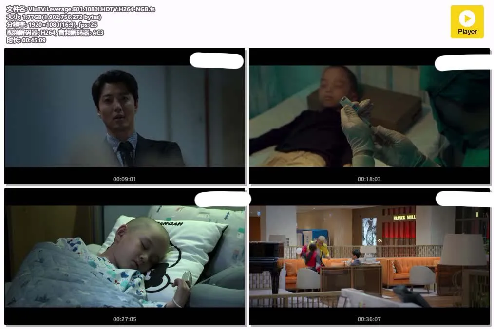 【Leverage：詐騙操作團】(2019) 李東健主演 韓劇 全集高清粤语资源 4