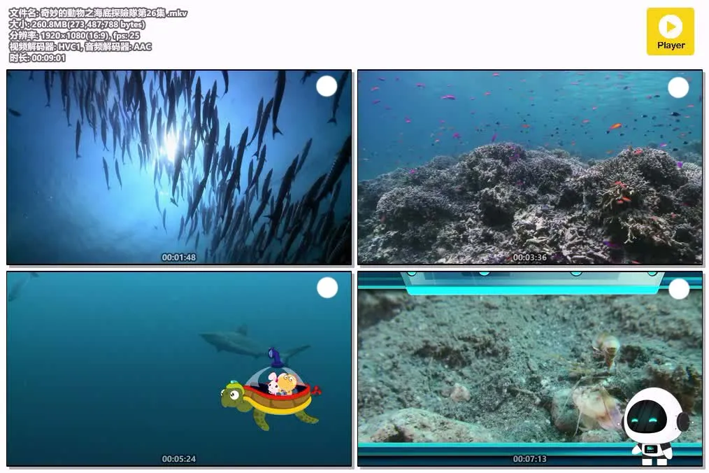 【奇妙的動物之海底探險隊】(2016) 兒童科普動畫 全集高清粵國雙語資源